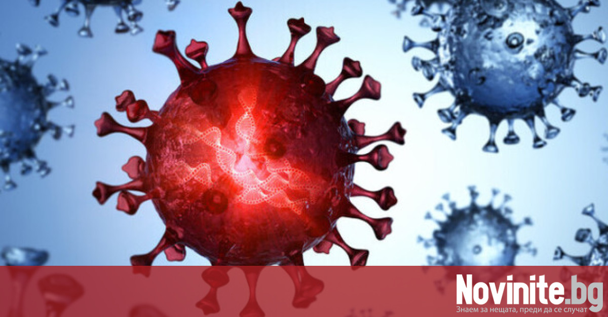 Световната здравна организация предупреди, че се увеличават случаите на коронавирус