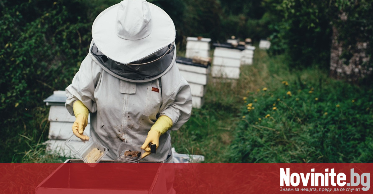 Поредна пчеларска организация в България обяви във Варна че се