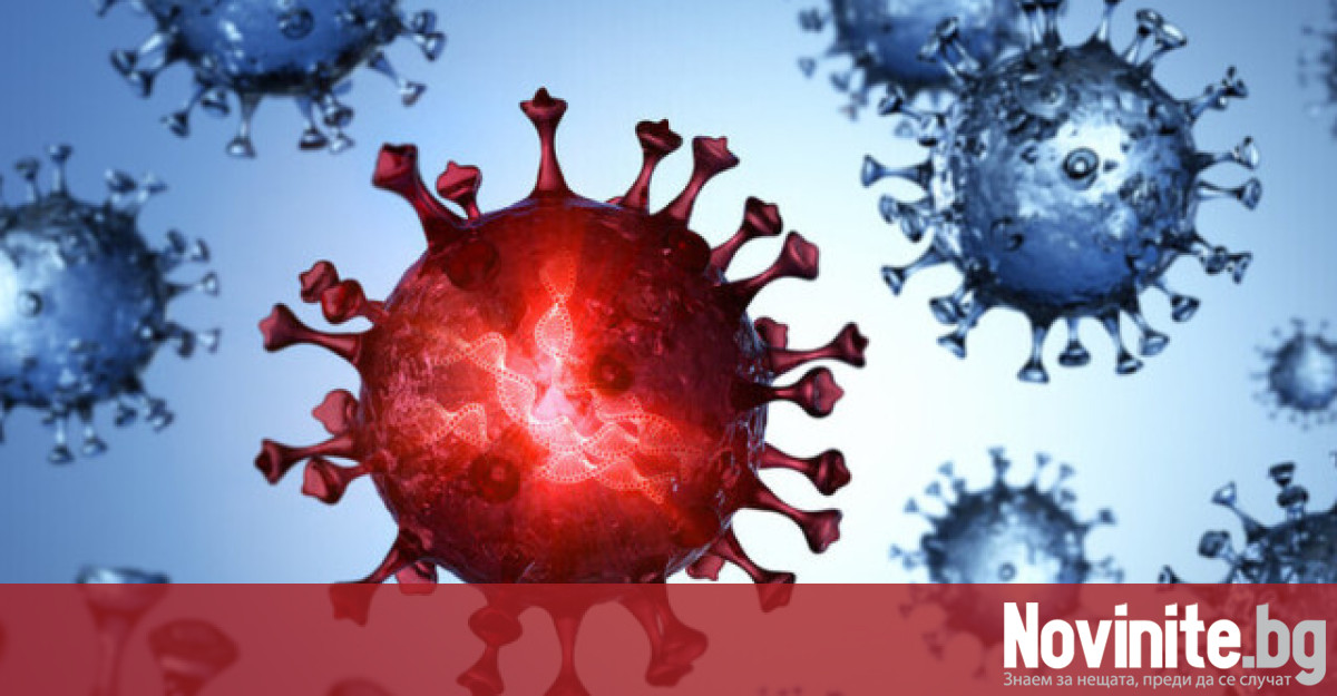 266 са новодиагностицираните с коронавирусна инфекция лица у нас през