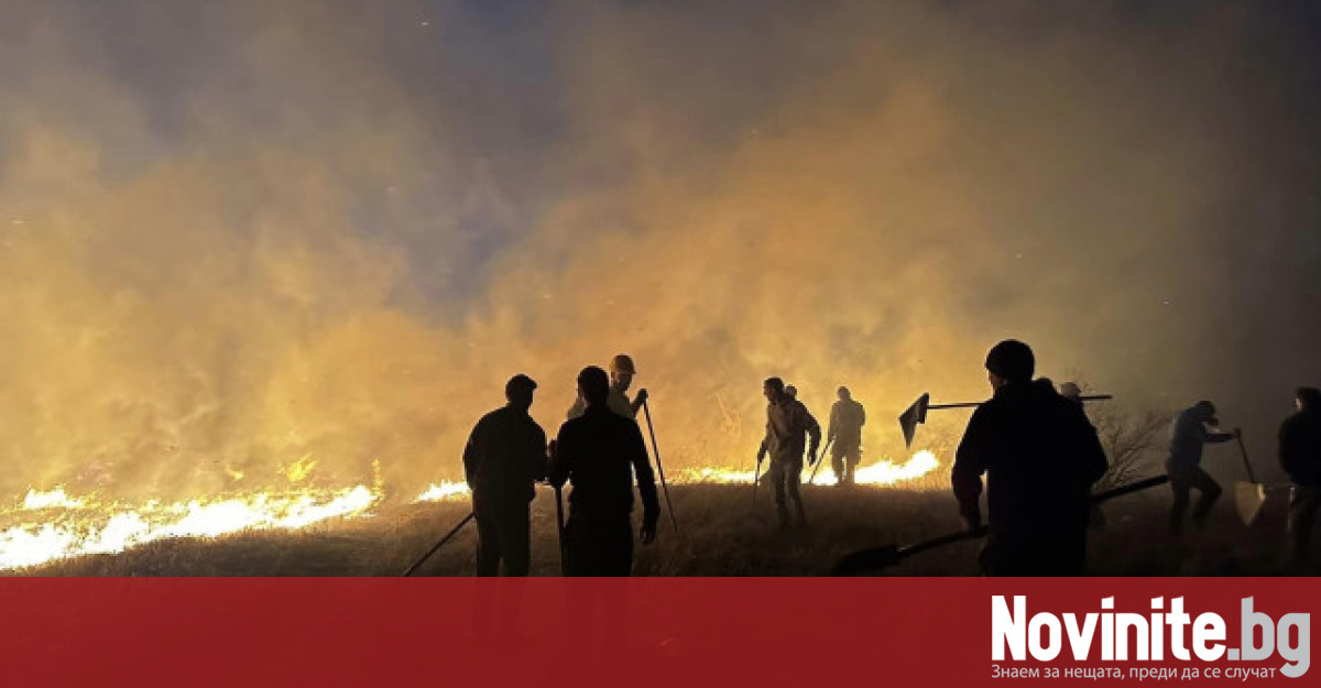 Горски масиви пламнаха в три общини в област София Драгоман