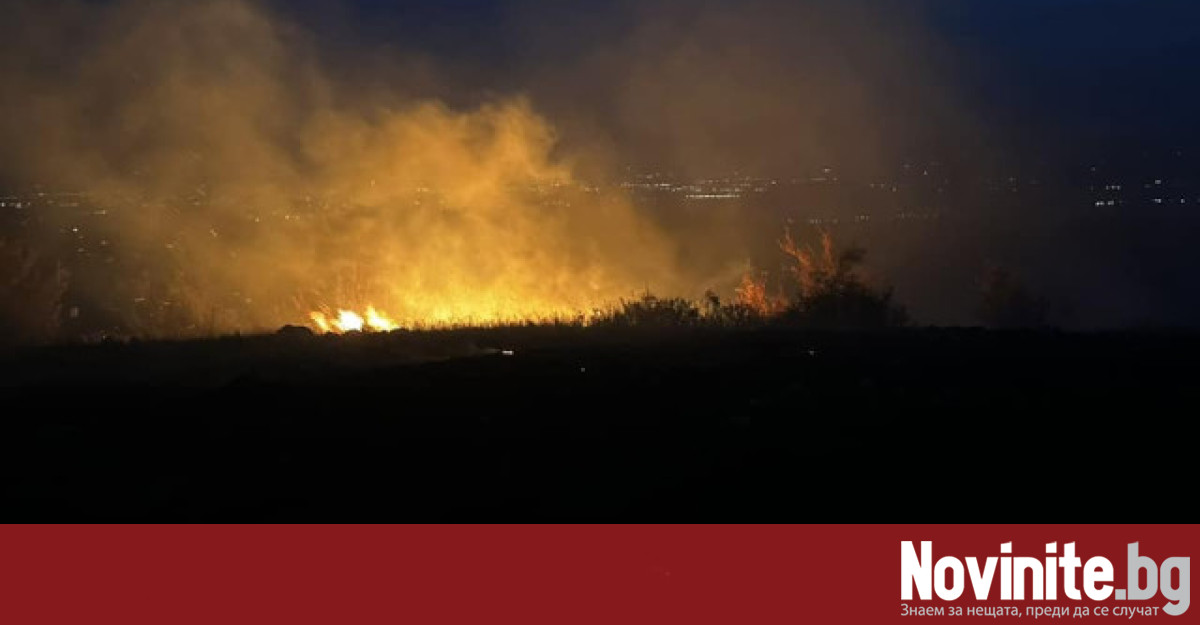 Пламъци обхванаха горски масив над град Нови Искър Това потвърди