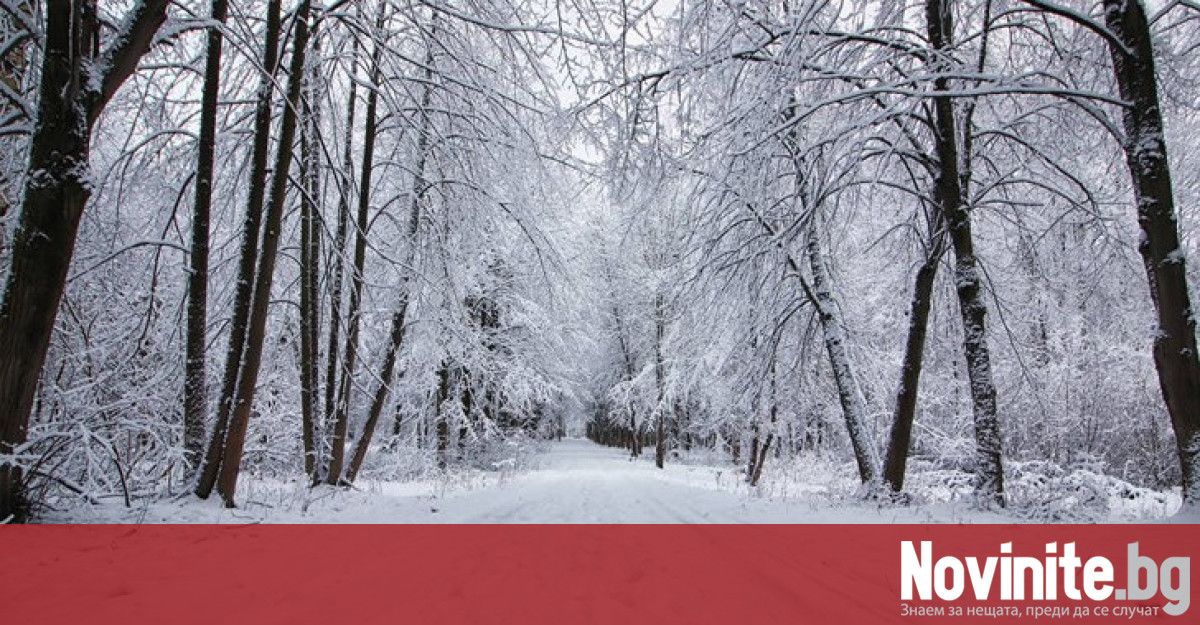 Астрономическата зима ще започне на 22 декември в 05:27 ч.