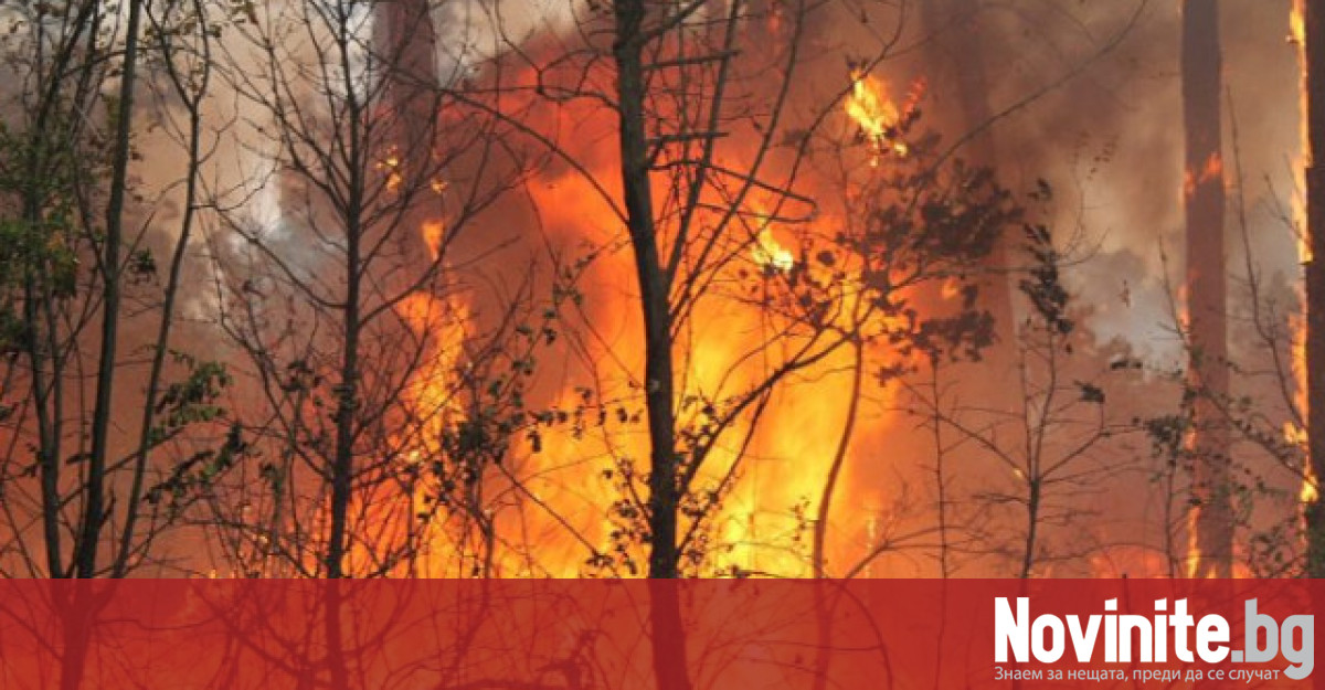 Рязко са увеличили горските пожари в след повишаването на температурите