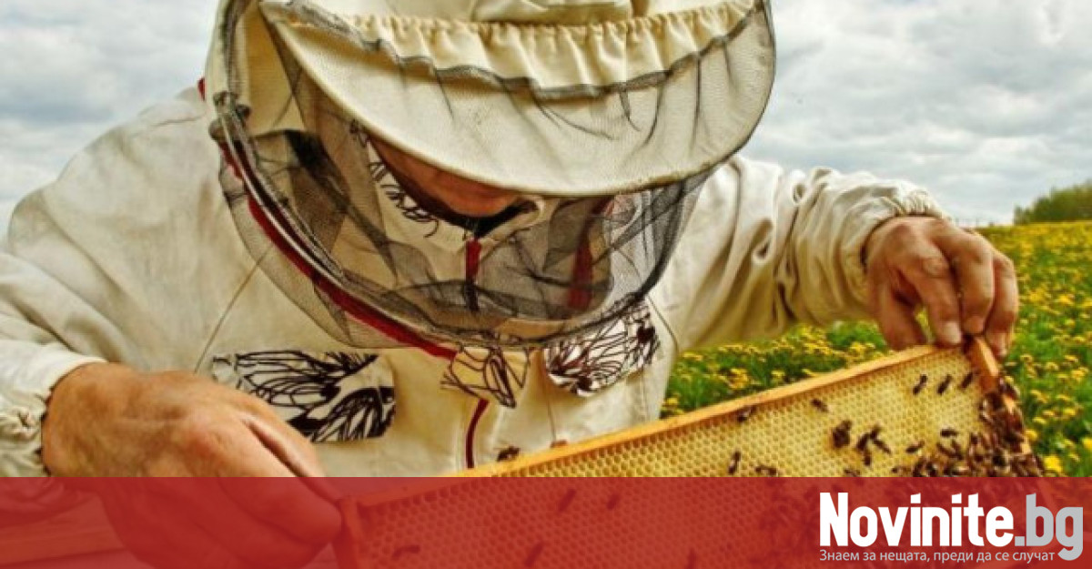 Държавен фонд Земеделие ДФЗ ще предоставя кредити на пчеларите за