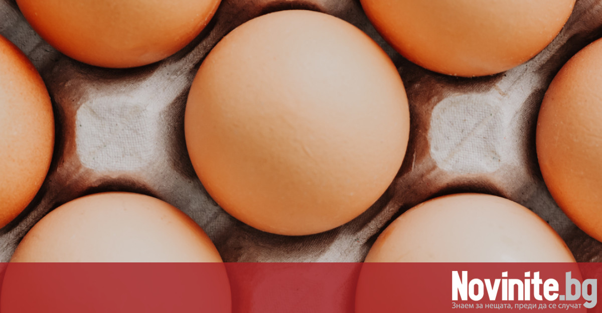 Снимка: Посочиха една от причините за високата цена на яйцата