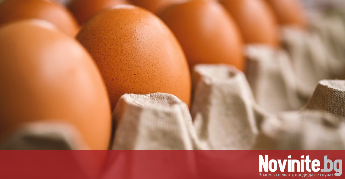 Цената на яйцата на едро е паднала с 6 7 ст