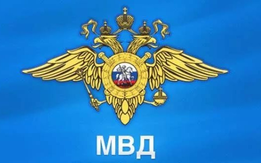 Руското МВР дава 1 млн. рубли за помощ при задържане командирите на "Азов"