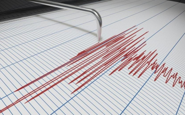 Земетресение в Източна Турция предизвика паника