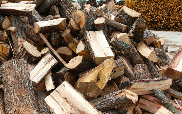 Забраната за износ на дърва е безсмислена, твърди експерт