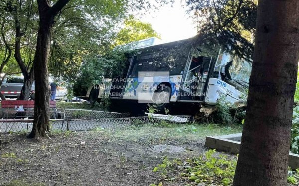 10 пострадали при удар на автобус от градския транспорт в дърво в София