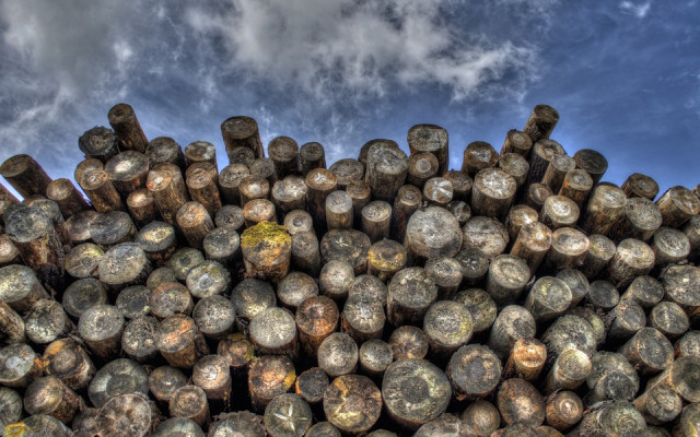 НС създаде временна комисия, която ще нищи недостига и скъпотията на дървата за огрев