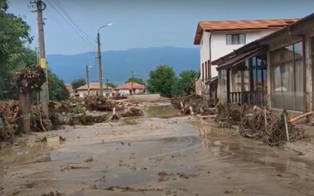 "Безплатните дърва" за хората след наводнението в Карловско се оказаха по 50 лева за кубик