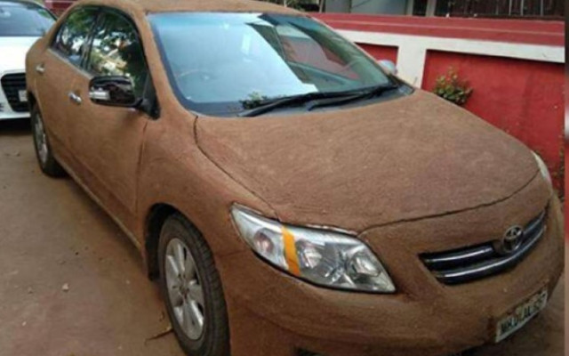 Жена намазва колата си с кравешки фашкии, за да я охлажди без климатик