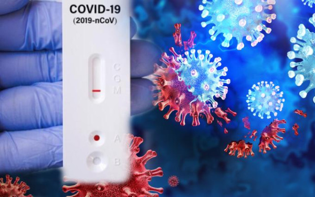 116 нови заразени с коронавирус, 4 души са починали
