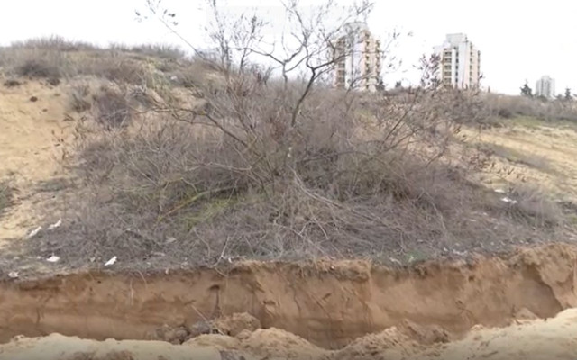 Служители на ловно стопанство разкопали дюните в Несебър
