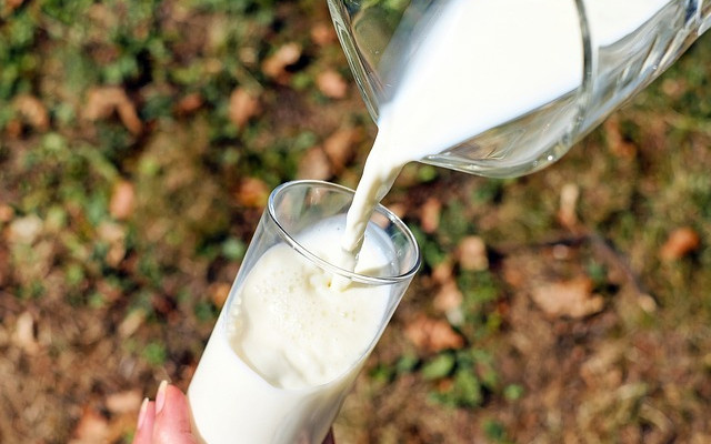 Цената на прясното мляко скочи - какви са причините?