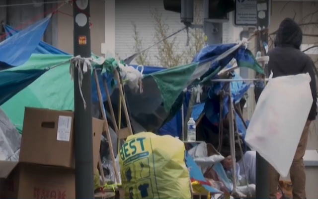 Скорбут и смрад в бежанско гето в центъра на Брюксел (ВИДЕО)