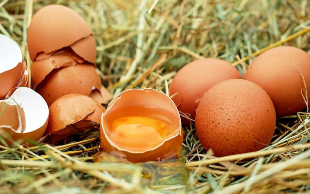 Яйцата в Европа поскъпнаха драстично