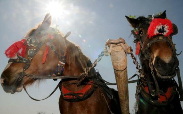 Тодоровден е! Ето какви са поверията
