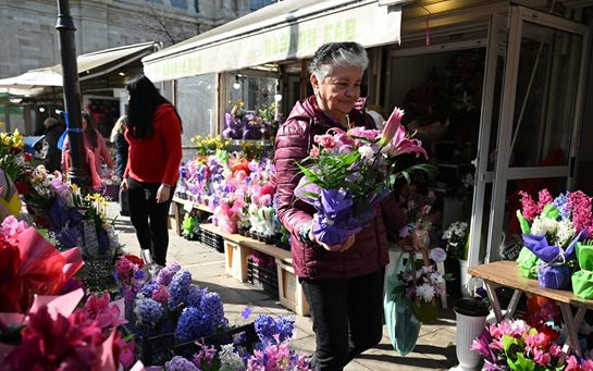 Цветарите се възползват от 8 март - завишиха цените на рози, зюмбюли, лалета и консумативи