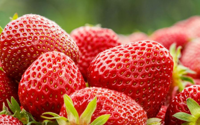 С 300 процента по-скъпи плодове тази година очакват в Кюстендилско
