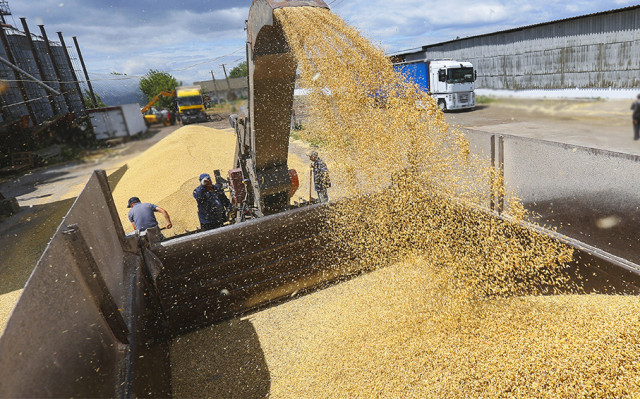 Още една страна от ЕС забрани вноса на зърно от Украйна