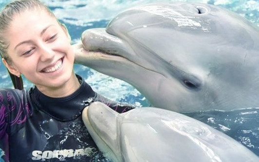 Делфинариум Варна връща плуването с делфини