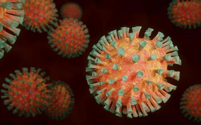 73 нови случая на коронавирус у нас, няма починали