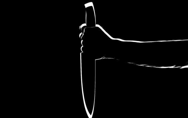 Нов ужас в Белград: Тийнейджърка наръга с нож ученик и преподавателка в частно училище