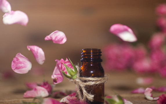 Има заплаха за бизнеса с розово масло, евродепутатите ни с обща позиция