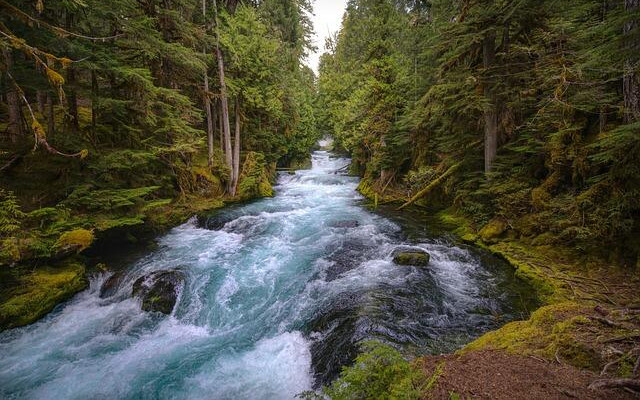 Река в Лом излезе от коритото си