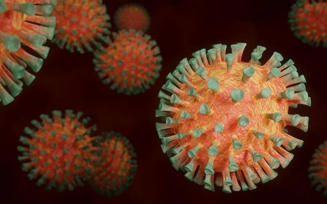 Пандемия Ковид 2.0 дебне в животни, готви се за атака