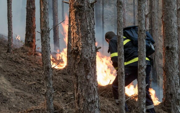 Александър Джартов: Над 90% от пожарите от нас са причинени от хора