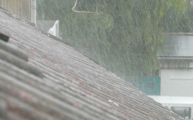 Пороите унищожават реколтата в Северозапада