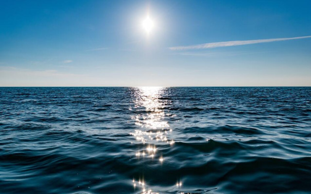 Микробиолог: Пробите на водата на Попския плаж показаха, че има еширихия коли