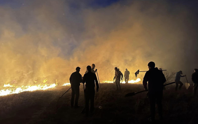Пожари в три общини на София през нощта, овладени са