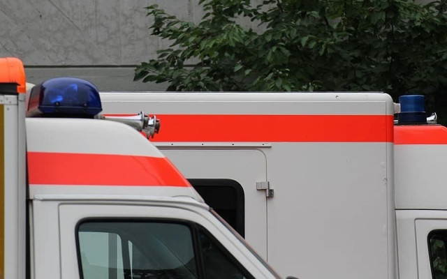 Топола падна върху кола и уби мъж в София, жена му пострада тежко