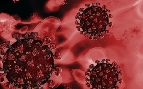 Петима души са загинали от коронавирус в последното денонощие