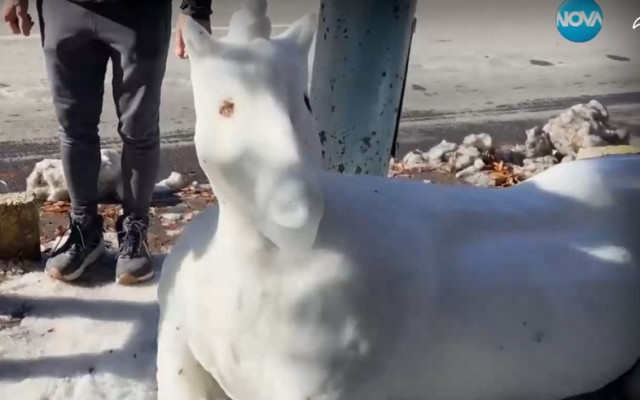 Изкуство от сняг: Красив еднорог радва жители и гости на Пловдив