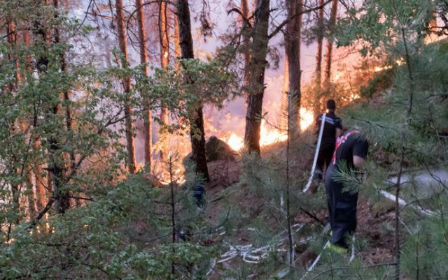 2022 г. е втората най-тежка година за горските пожари