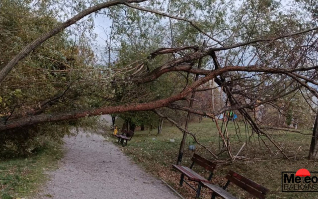 Най-малко 18 сигнала за паднали от силния вятър клони и огради в София