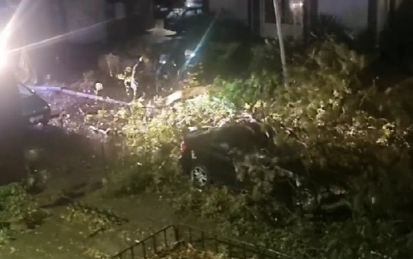 Втора жертва на урагана: Дърво премаза пешеходка във Варна