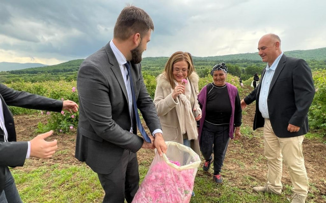 Решено: Българското розово масло няма да се третира като опасен химически продукт