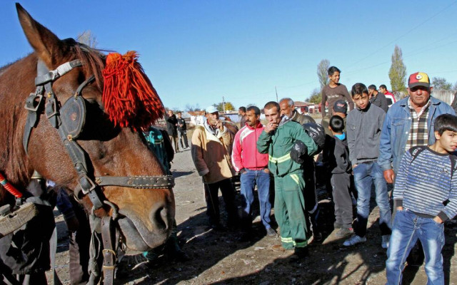 Вижте колко са незаконните ромски къщи у нас