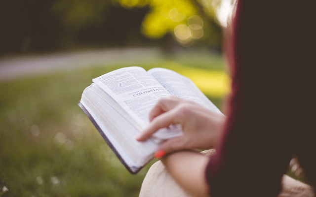 Специалностите „Икономика“, „Педагогика“ и „Медицина“ са най-предпочитани в университетите