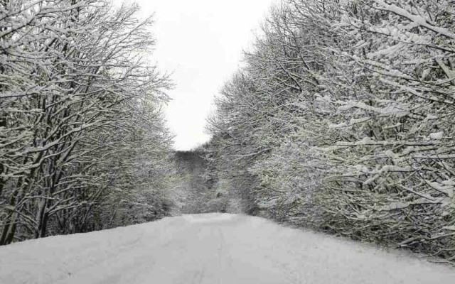 Сняг вали в Родопите, снежната покривка в Пампорово вече е 40 см