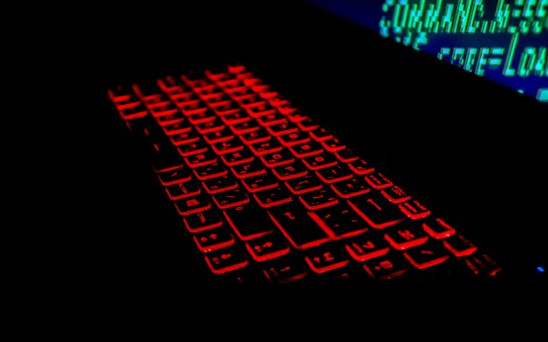 65 български фирми пострадали от онлайн измама през 2023 г.