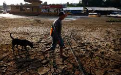 Климатичните промени са основният виновник за рекордна суша в амазонските тропически гори