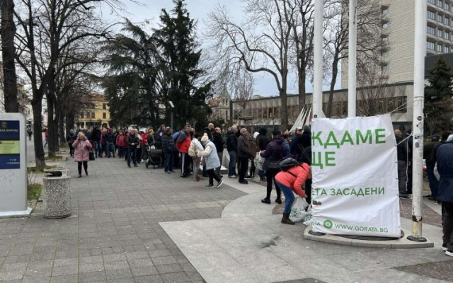 Заради Безплатни фиданки: Огромна опашка се изви в центъра на Бургас