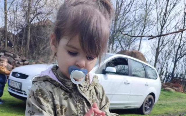 Отчаяна надпревара с времето: Мащабно търсене на изчезнало дете в Сърбия близо до българската граница